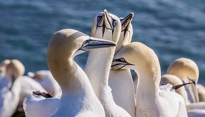 开云体育入口：开启你的专属体育新世界